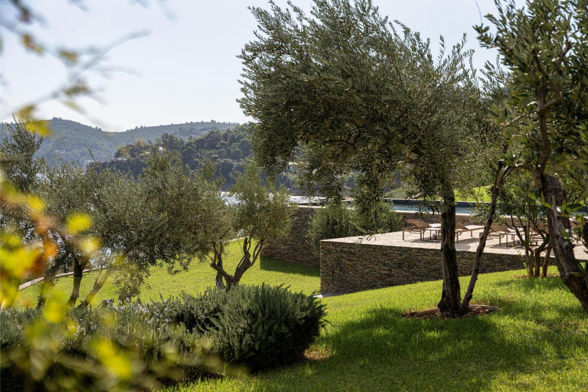 Pelagoon Skiathos Achladies  Kamer foto